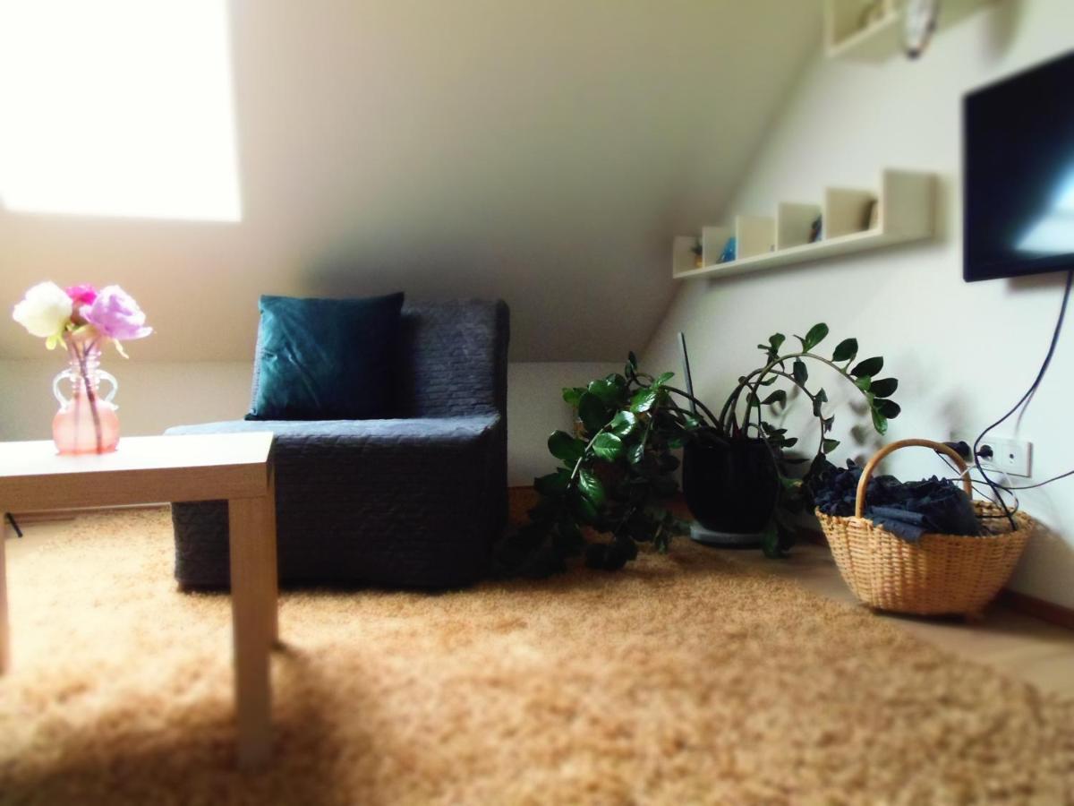 Apartman Katarina Zágráb Kültér fotó